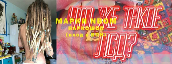 PSILOCYBIN Беломорск