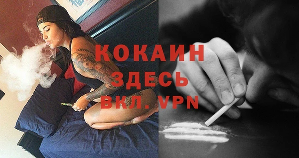 PSILOCYBIN Беломорск